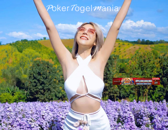 Daily Wins Mega Gacor 2023